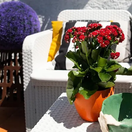 Apartment Casa Buganvilia